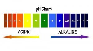 pH Chart pH Chart
